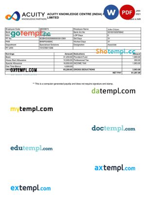 USA Disney invoice template in Word and PDF format, fully editable