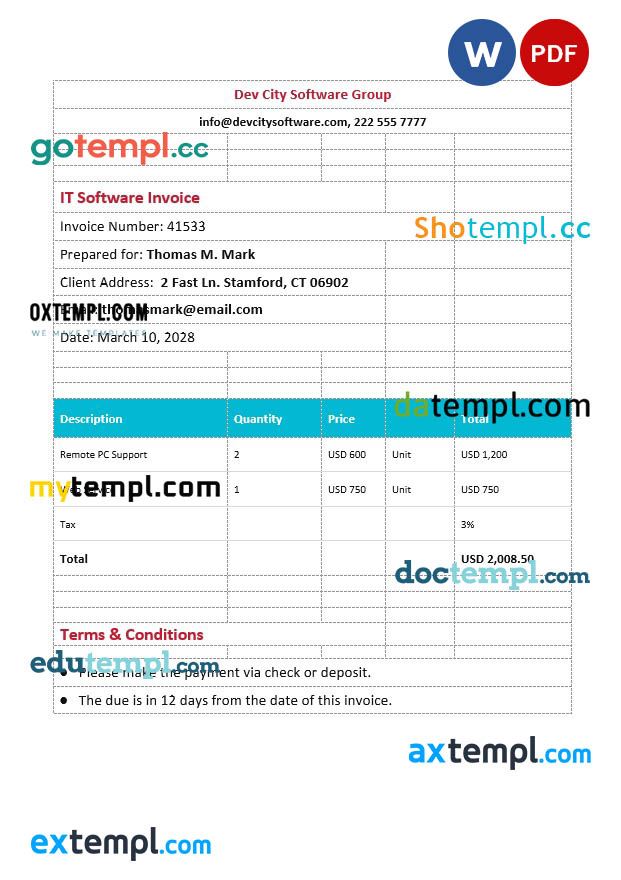 IT Software Invoice template in word and pdf format