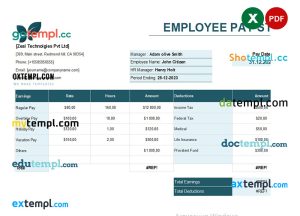 India Zeal Technologies Pvt Ltd pay stub template in Excel and PDF format