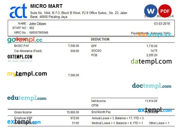 MALAYSIA MICRO MART payslip template in Word and PDF formats