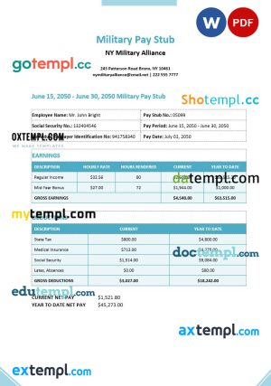 Military paystub Word and PDF template