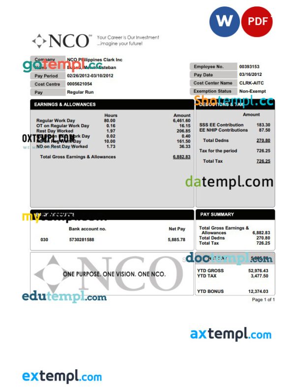 NCO paystub Word and PDF template