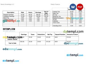 Nanny Knowledge LLC pay stub Word and PDF template