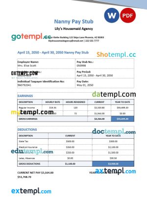 Nanny paystub Word and PDF template