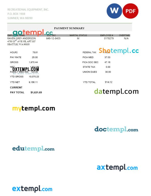 Recreational equipment LLC pay stub template in PDF and WORD format