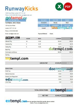 USA Cisco Systems, Inc. hardware company pay stub Word and PDF template