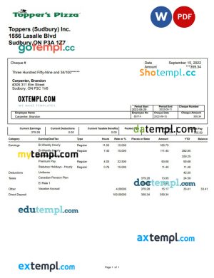 Topper's Pizza pay stub Word and PDF template