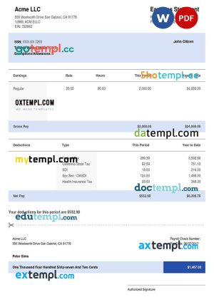 USA CALIFORNIA ACME LLC earning statement template in Word and PDF formats