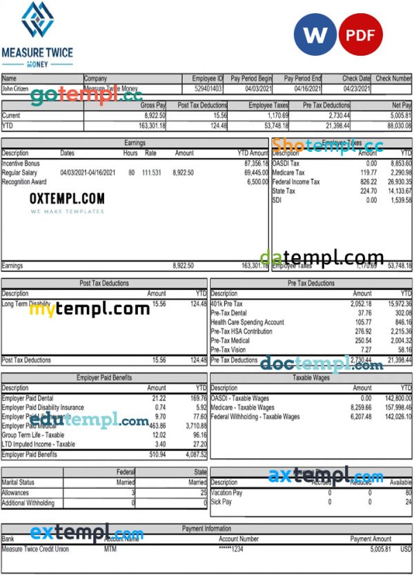 USA MEASURE Twice Financia payslip template in Word and PDF template