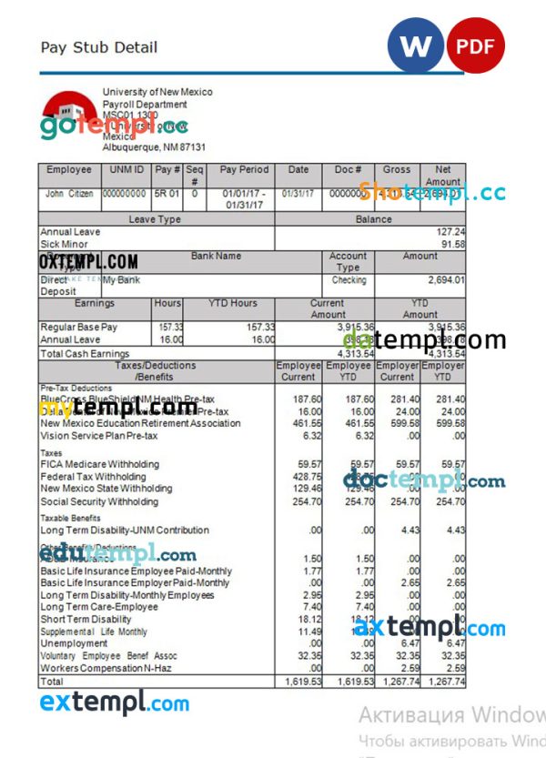University of New Mexico paystub template in Word and PDF formats