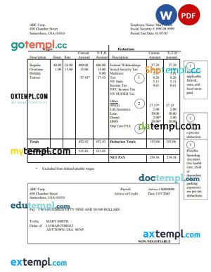 Corporation pay stub Word and PDF template