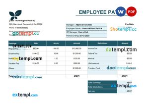 Employee pay stub Word and PDF template, version 5