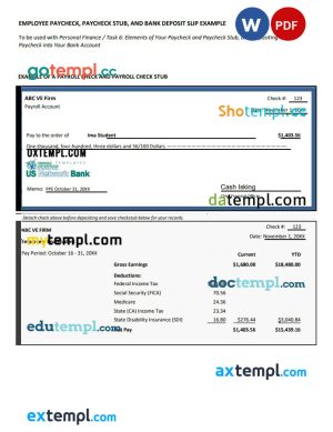 video game company paystub template in Word and PDF formats