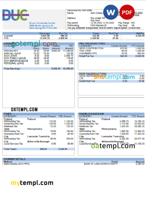 USA manufacturing company earning statement template in Word and PDF format