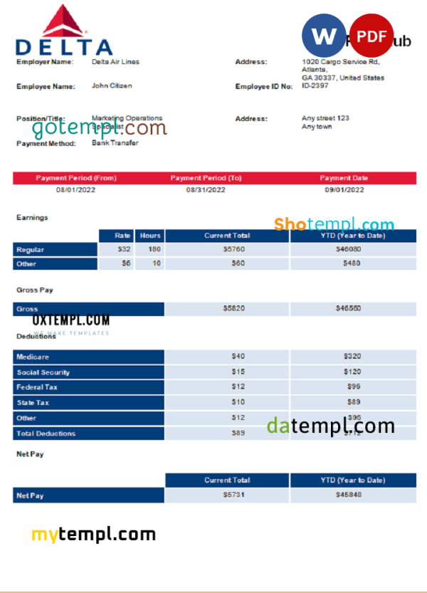 USA Delta Air Lines airlines company pay stub Word and PDF template