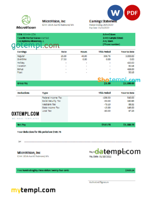 USA MicroVision informational company pay stub Word and PDF template