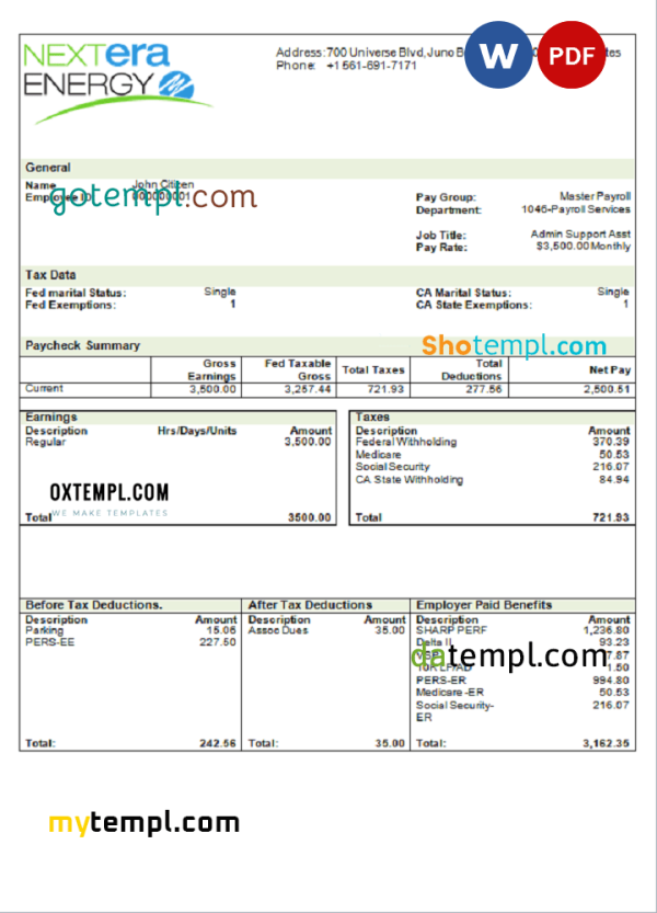 USA NextEra Energy electric company pay stub Word and PDF template