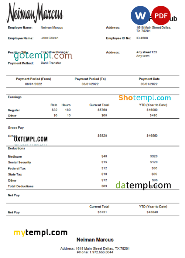 USA Neiman Marcus department store company pay stub Word and PDF template