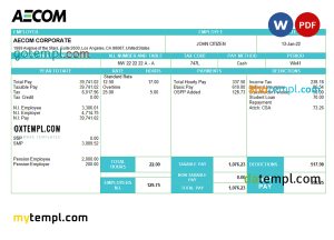 Chemical company payslip template in Excel and PDF formats