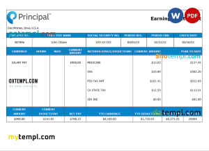 USA financial company earning statement template in Word and PDF format