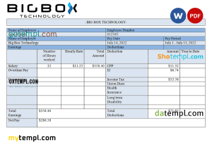 USA Big Box Technologies technology company pay stub Word and PDF template