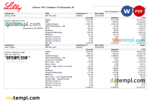 USA pharmaceutical company earnings statement template in Word and PDF format