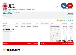 USA JLL real estate company pay stub Word and PDF template