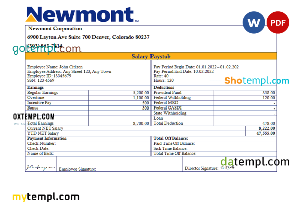 USA Newmont Corporation mining company pay stub Word and PDF template