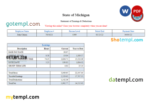 USA State of Michigan social services company pay stub Word and PDF template