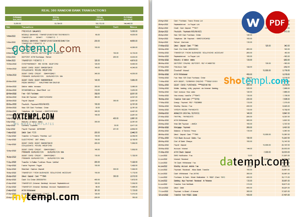 real 300 random bank transactions, Word and PDF template, 7 pages