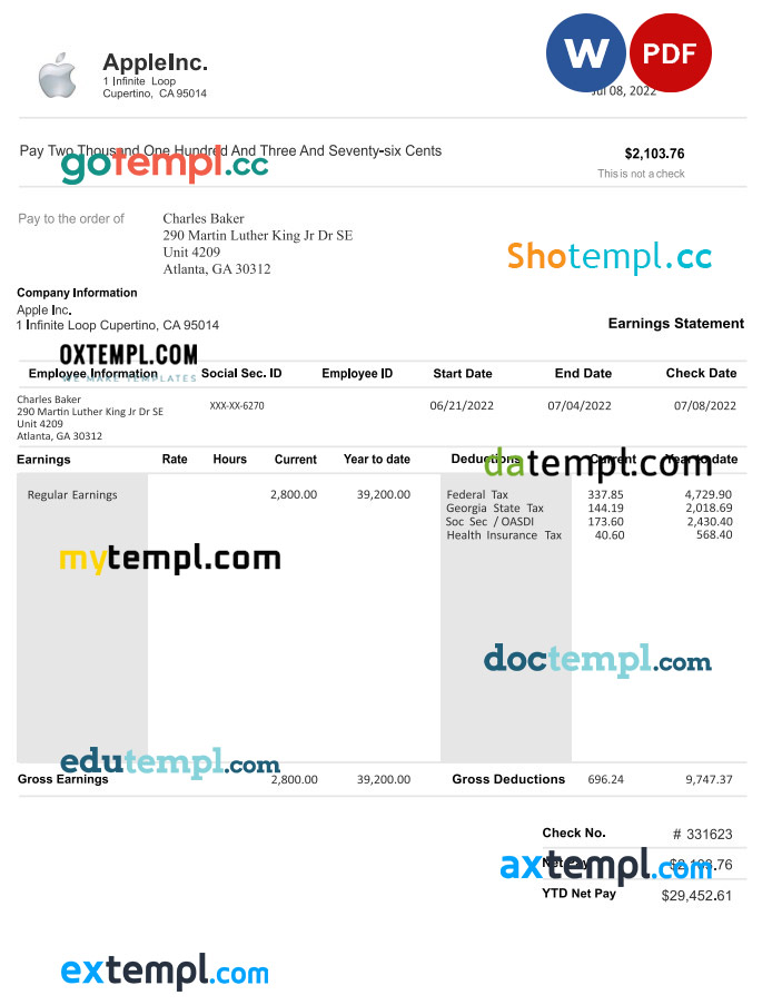 Apple inc pay stub Word and PDF template