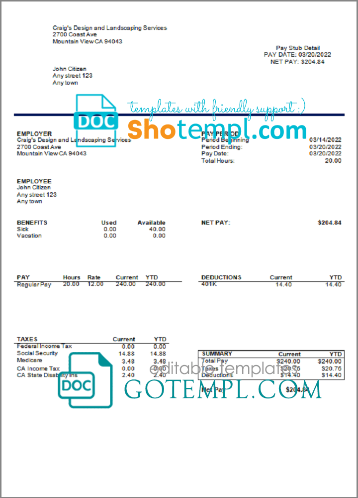 # bright mind pay stub template in Word and PDF format