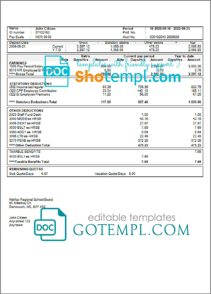# bale out pay stub template in Word and PDF format