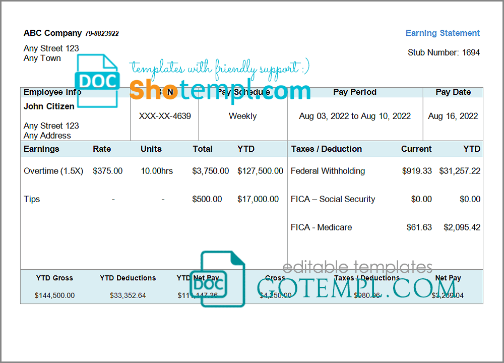 # steady form pay stub template in Word and PDF format