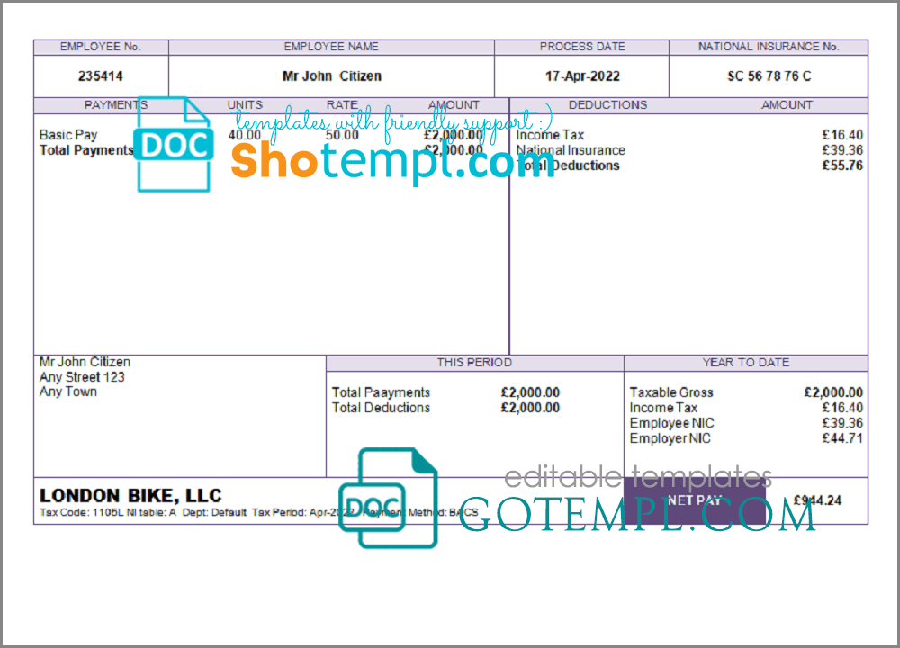 # true form pay stub template in Word and PDF format