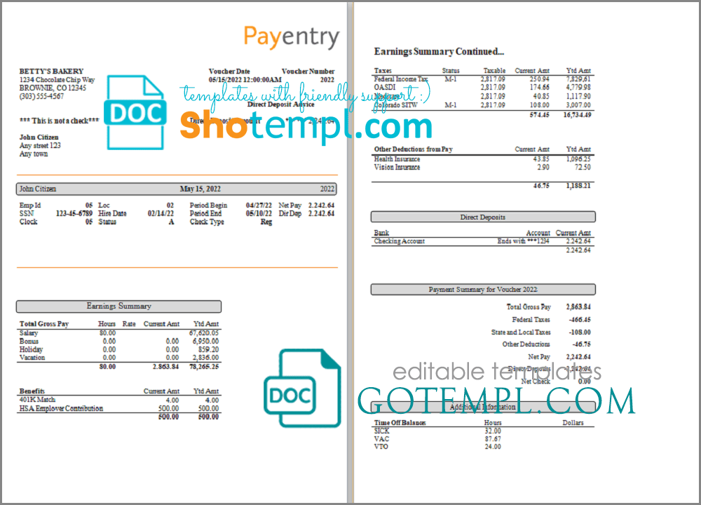 # nice likes pay stub template in Word and PDF format