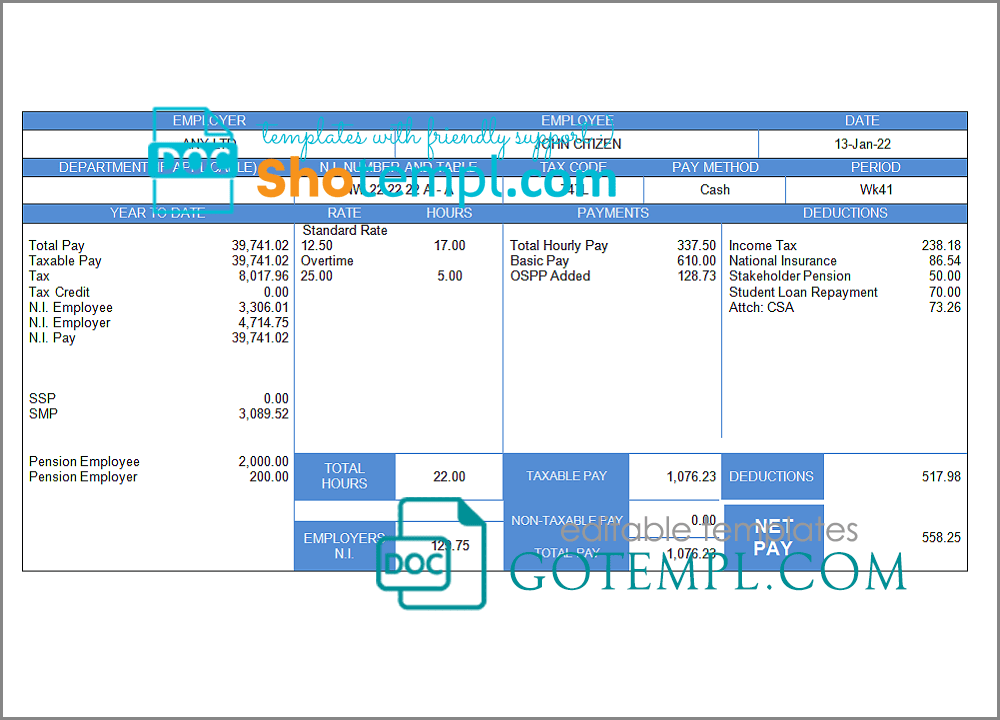 # elegant looks pay stub template in Word and PDF format