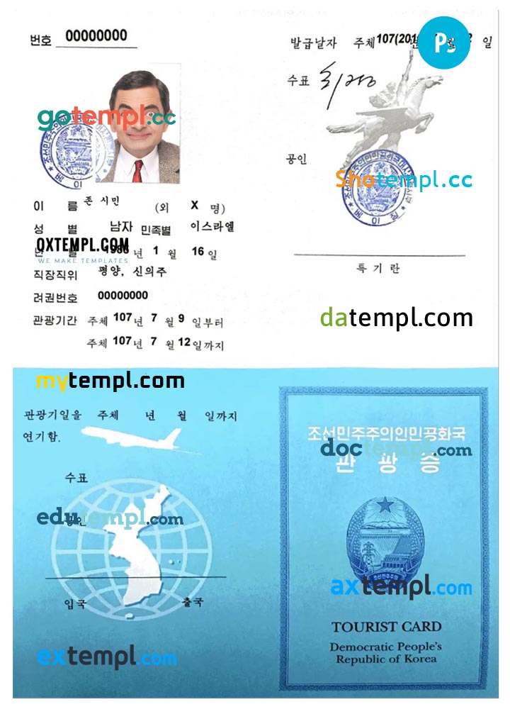 Korea tourist visa PSD template, fully editable