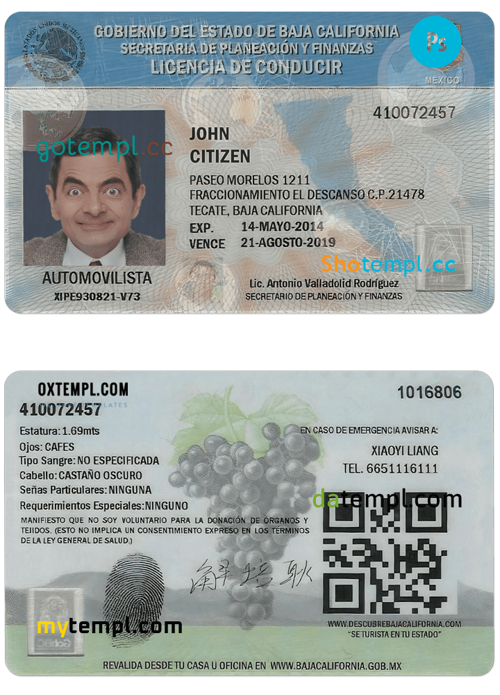 Mexico Baja California driving license PSD template, fully editable