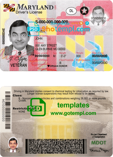 Paraguay Vision Banco bank visa classic card, fully editable template in PSD format