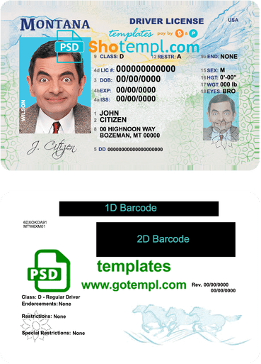 USA Montana driving license template in PSD format