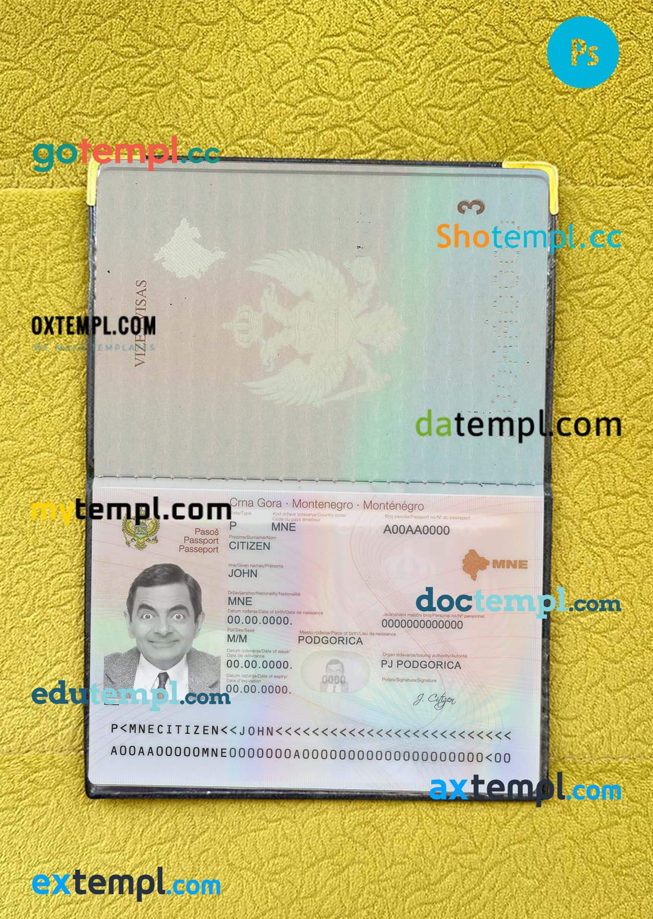 USA cat (pet) electronic passport editable PSD template, with fonts