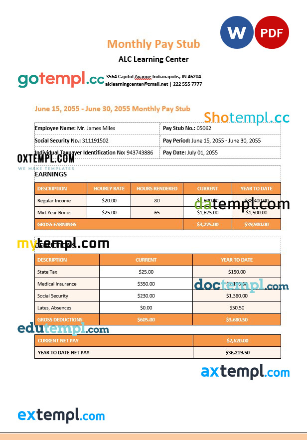 learning center monthly paystub Word and PDF template
