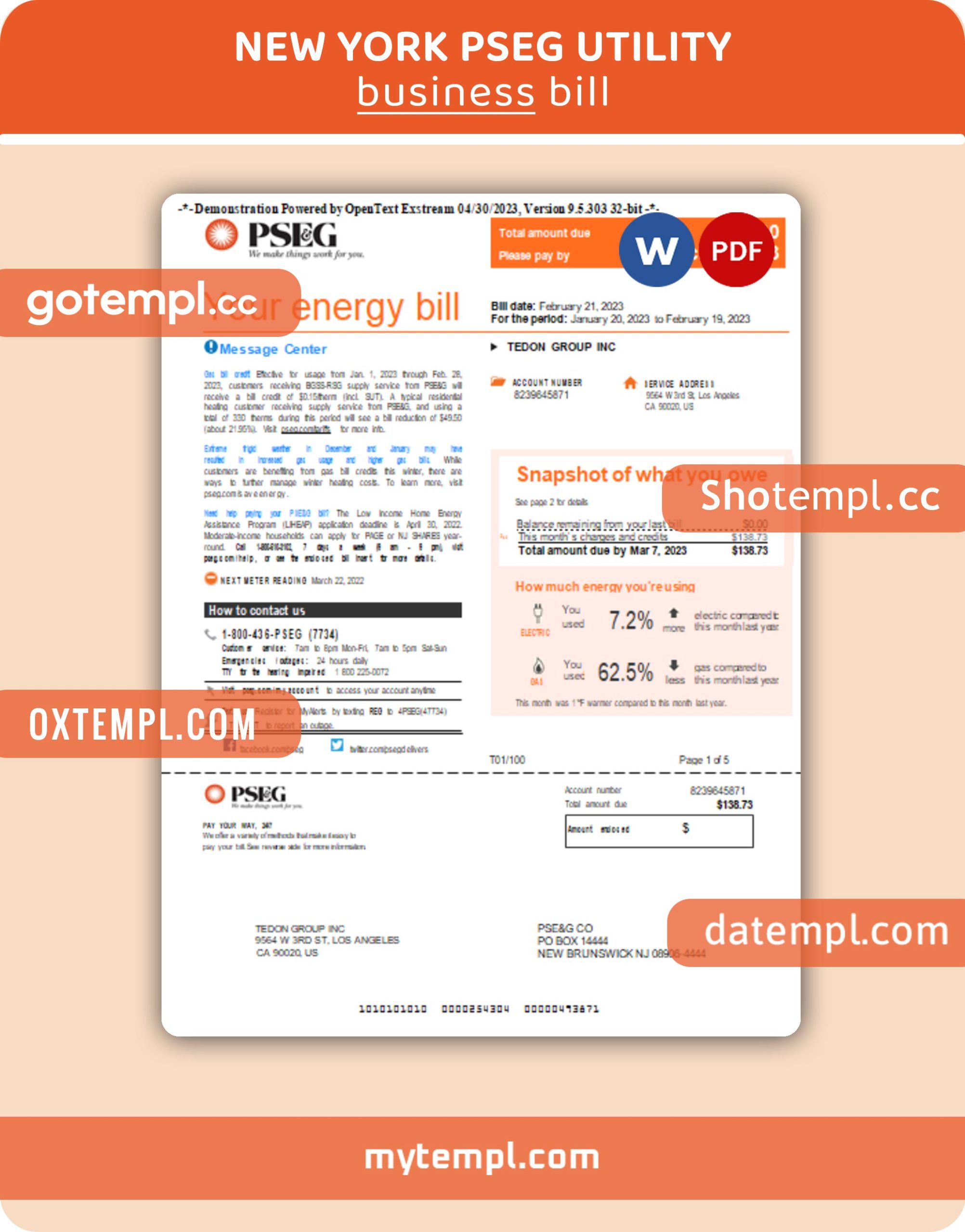 India Reliance Energy utility bill Word and PDF template