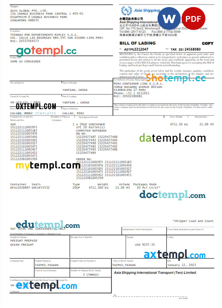 SINGAPORE ASIA SHIPPING utility bill Word and PDF template
