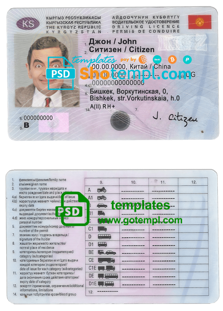 USA cat (pet) electronic passport editable PSD template, with fonts