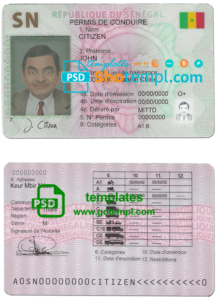 Jordan cat (animal, pet) passport PSD template, completely editable