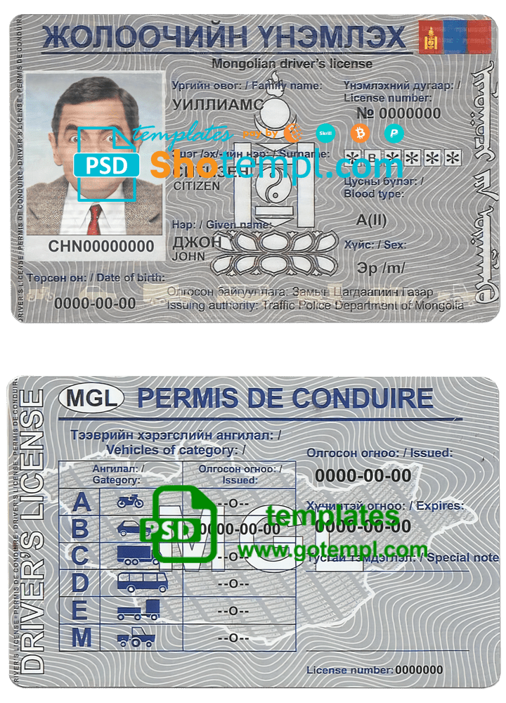 Mongolia driving license template in PSD format, fully editable