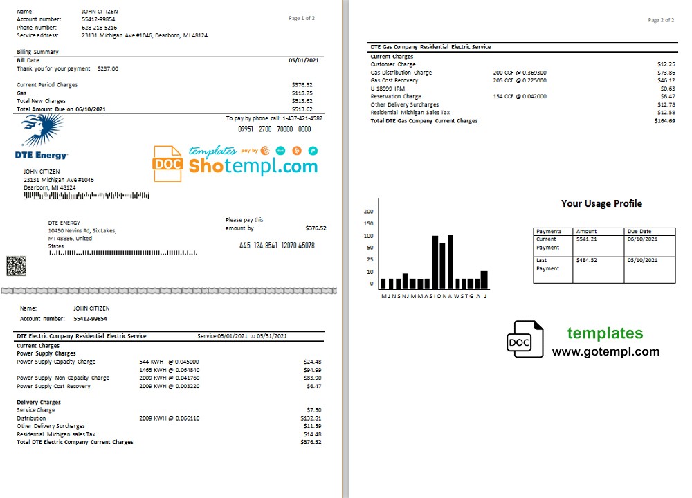Canada DTE Energy utility bill template in Word and PDF format (2 pages)