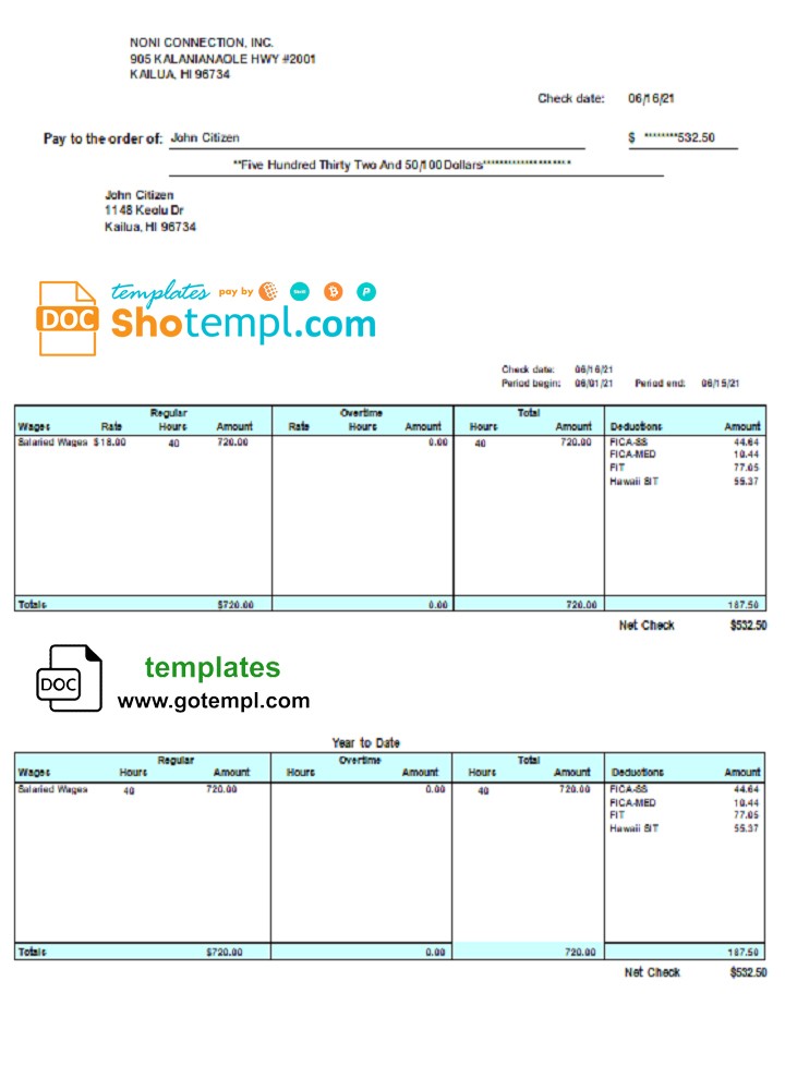 USA HI pay stub template in Word and PDF format, fully editable